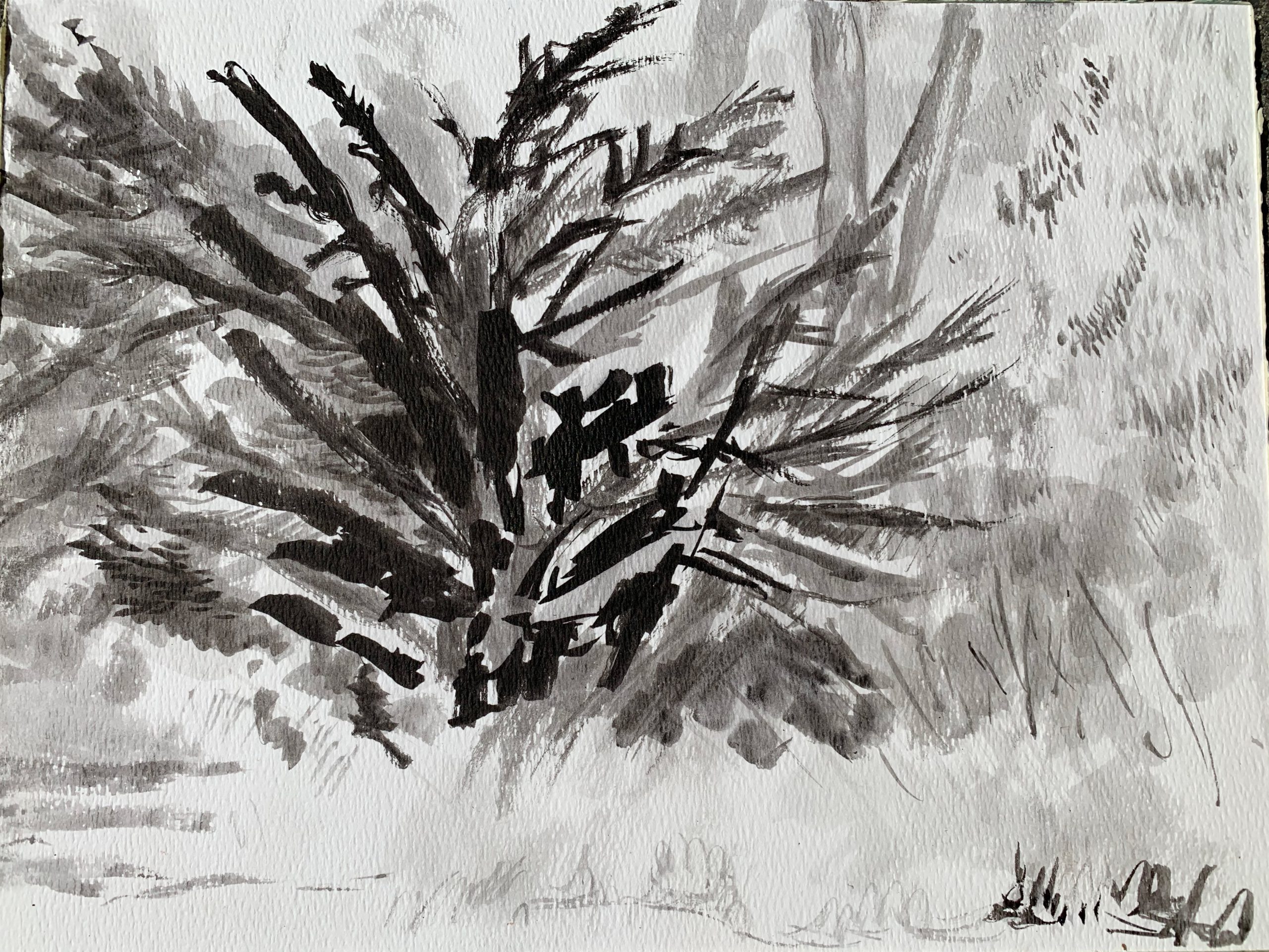 Ink wash painting of cypress tree in lighthouse field on cold press watercolor paper by artist Julia van der Wyk